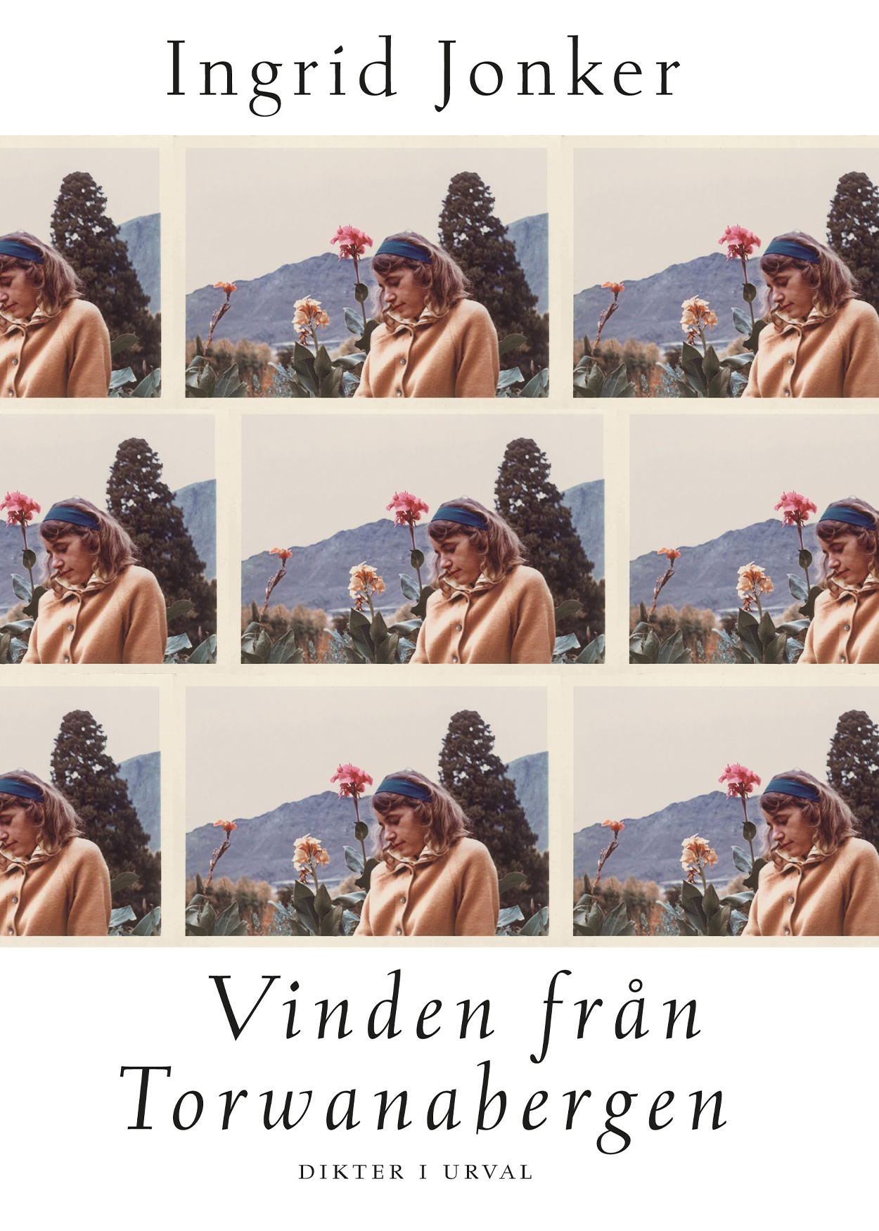 vinden från torwanabergen